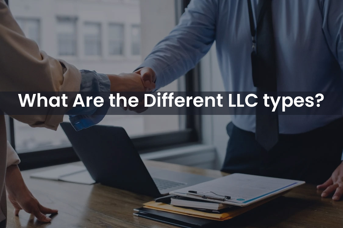 LLC types in busines